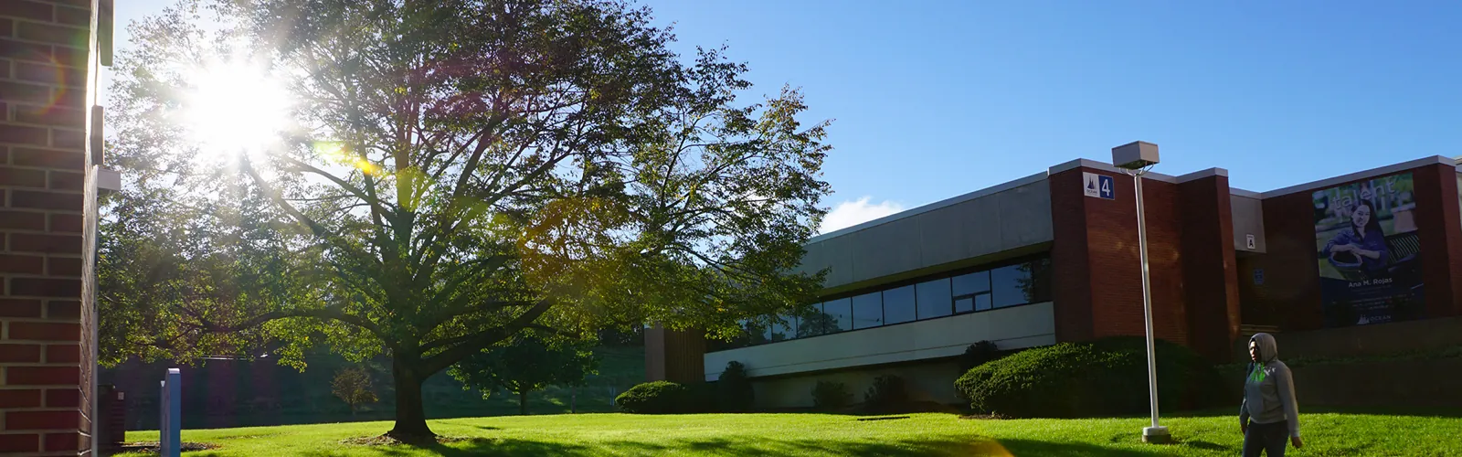 Campus with sun shining
