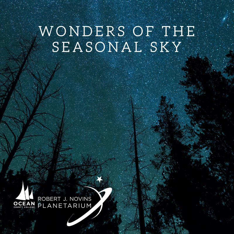 Night sky filled with stars above silhouettes of tall trees, with text "Wonders of the Seasonal Sky" and planetarium logo.